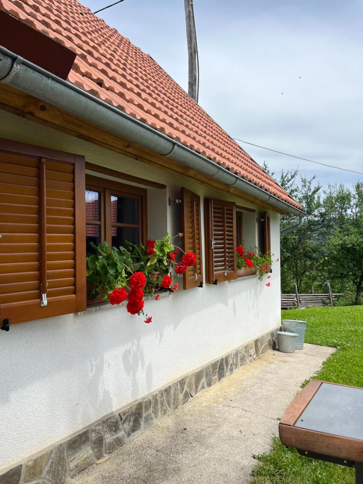 Willa Domacija Brdar Adlesici Zewnętrze zdjęcie