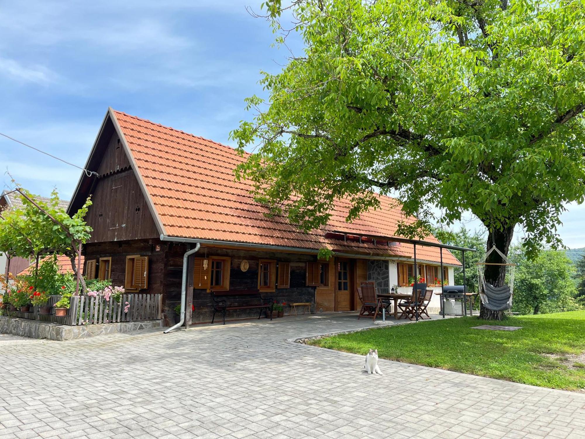 Willa Domacija Brdar Adlesici Zewnętrze zdjęcie